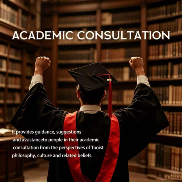 Academic Consultation